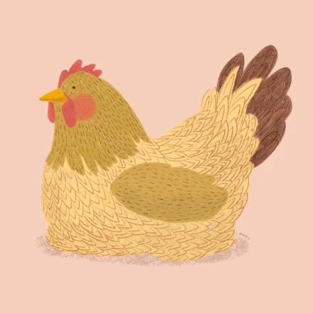 Chicken!