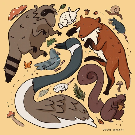Canadian Critters 1