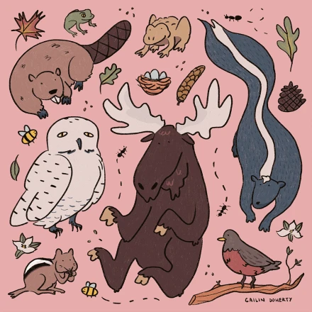 Canadian Critters 2