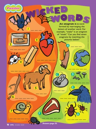 October 2024 Puzzle OWL Magazine